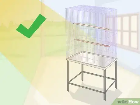 Image titled Know if a Red Bellied Parrot Is Right for You Step 6