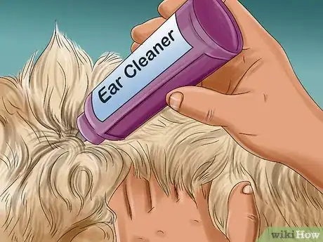 Image titled Groom a Goldendoodle Step 15