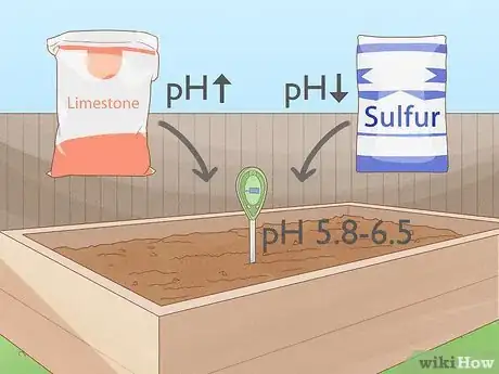 Image titled What Is the Best Fertilizer for a Vegetable Garden Step 12