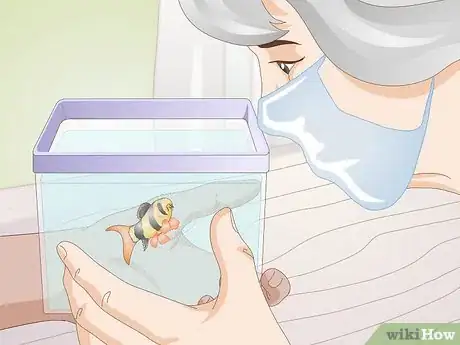 Image titled Take Care of Botia Fish Step 2