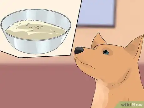 Image titled Choose Dog Treats Step 10