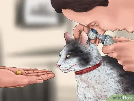 Image titled Make Vet Visits Less Stressful for Your Cat Step 11