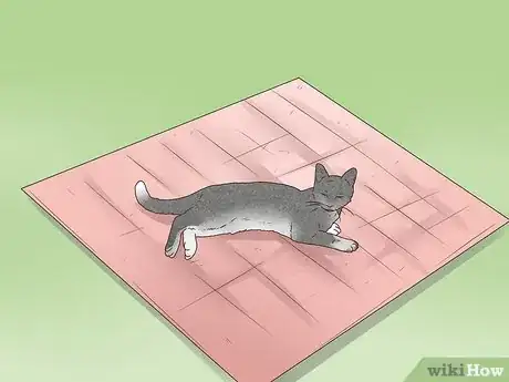 Image titled Treat Epilepsy in Cats Step 12