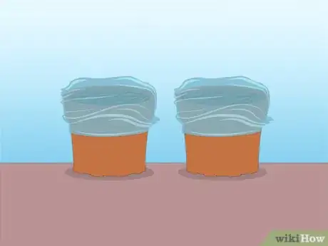 Image titled Propagate Azaleas Step 37