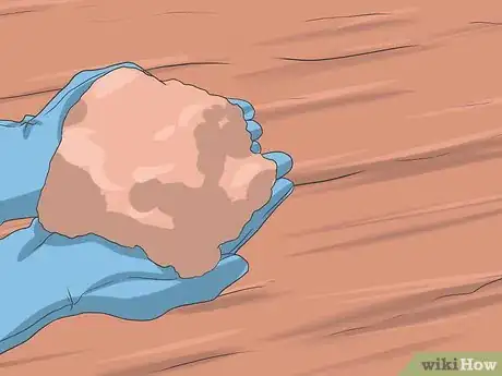 Image titled Grow Asters Step 8