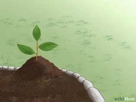 Image titled Grow a Bed Head Garden Step 1