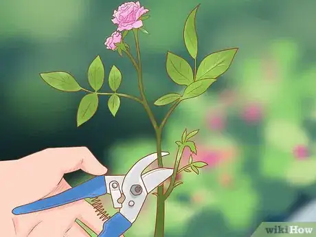 Image titled Prune Flowers Step 1