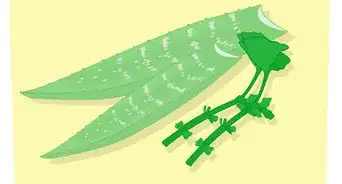 Propagate Your Plants