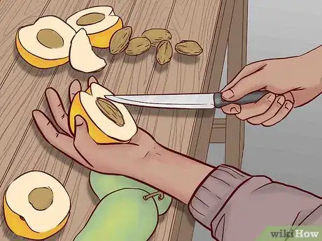 Image titled Find Safe Vegetables and Fruit for Horses Step 10