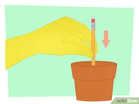 Image titled Propagate Your Plants Step 9