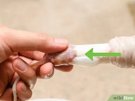 Image titled Make a Hot Dog Step 11