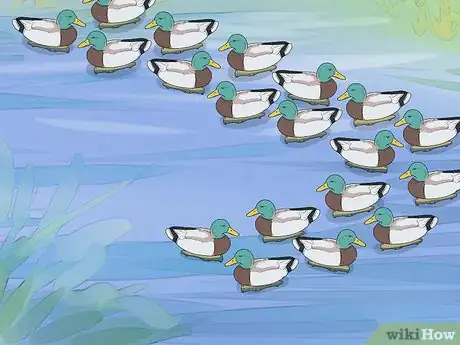 Image titled Set Duck Decoys Step 7