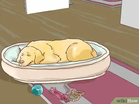 Image titled Survive the Holidays with Your Dog Step 5