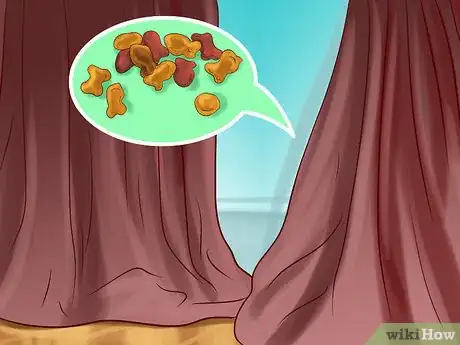 Image titled Hide Treats for Your Cat Step 2