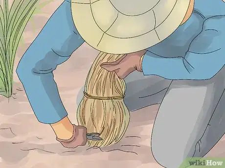 Image titled Plant Landscape Grasses Step 18