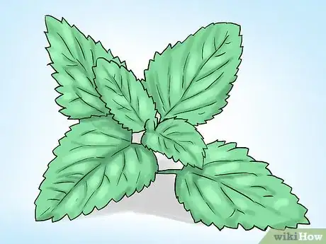 Image titled Grow Mint in a Pot Step 4