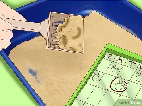 Image titled Train an Outdoor Cat to Use a Litter Box Step 7