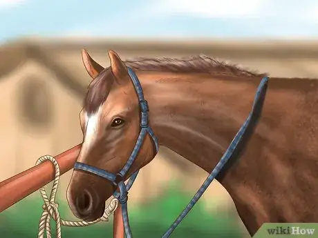 Image titled Maintain Good Hoof Care on Your Horse Step 1