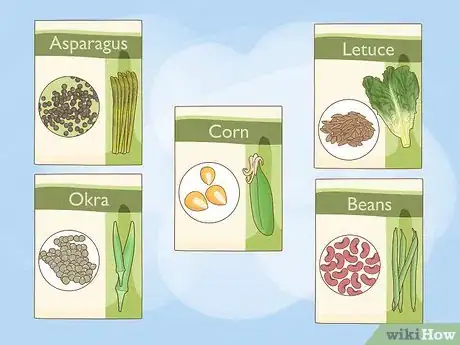 Image titled Grow Vegetables in New England Step 1