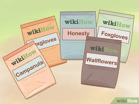 Image titled Grow Biennials Successfully Step 4