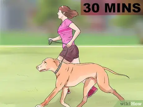 Image titled Dog‐Sit when You Have a Small Pet Step 12