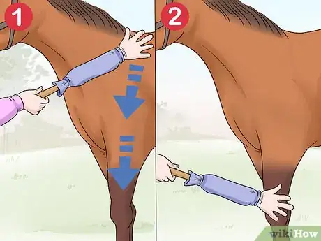 Image titled Train Your Horse for the Farrier Step 5