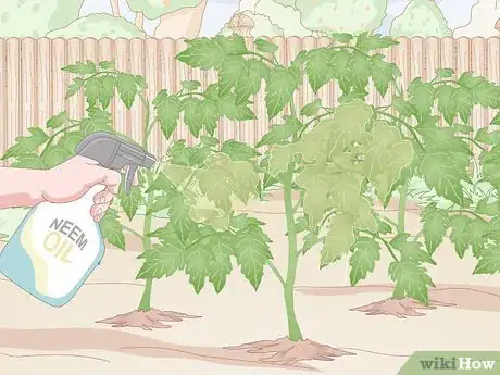 Image titled Prevent Spider Mites Step 11