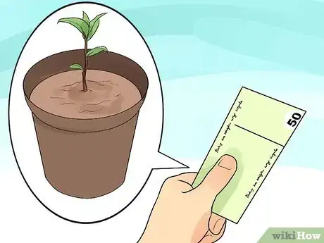 Image titled Grow a Bay Tree Step 1