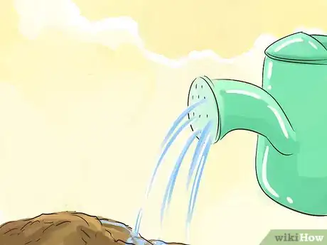 Image titled Make a Small Vegetable Garden Step 12