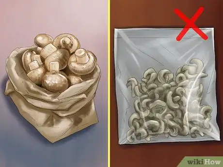Image titled Protect Your Dog from Toxic Mushrooms Step 5