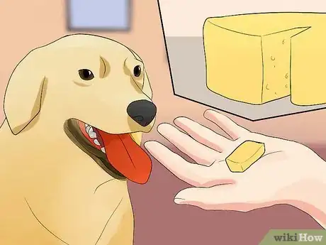 Image titled Choose Dog Treats Step 11