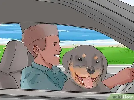 Image titled Show Your Dog Where He Is in the Pack Step 6