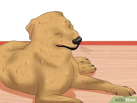 Image titled Treat Canine Coronavirus Step 7