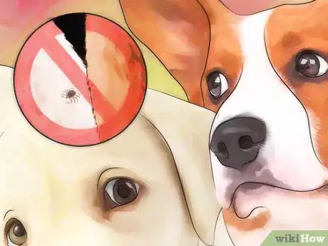 Image titled Prevent Canine Ear Mites Step 2