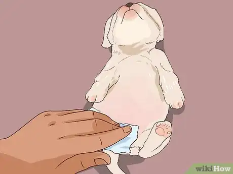 Image titled Socialize Orphaned Newborn Puppies Step 4