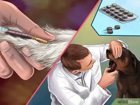 Image titled Protect Your Dog from Toxic Mushrooms Step 7