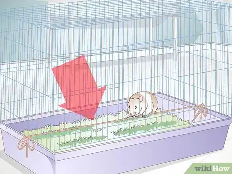 Image titled Train a Hamster or a Mouse to Walk on a Tightrope Step 5