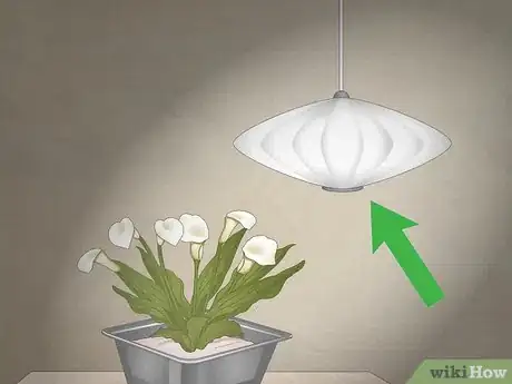 Image titled Decorate a Niche Step 10