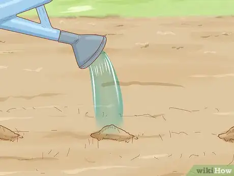 Image titled Plant a Mesquite Tree Step 6