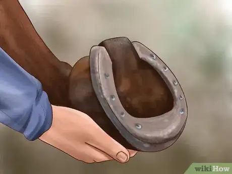 Image titled Maintain Good Hoof Care on Your Horse Step 4