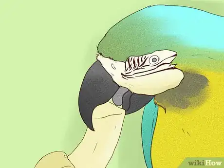 Image titled Make Your Parrot Feel Loved Step 1