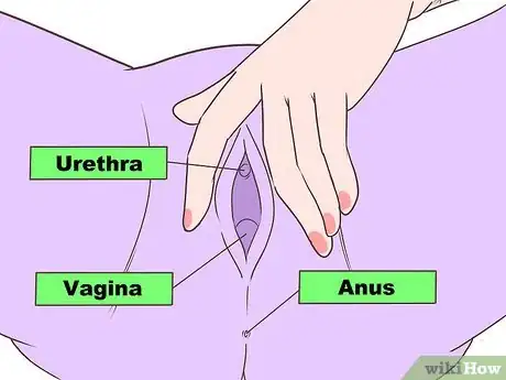 Image titled Insert a Tampon for the First Time Step 7