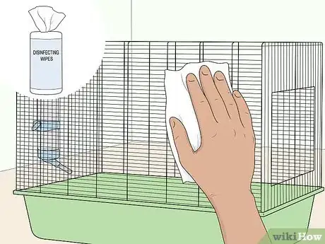 Image titled Reduce Rat Odor Step 9