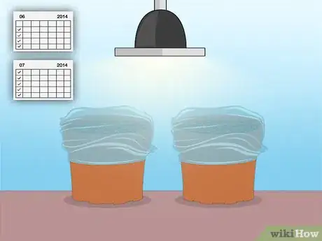 Image titled Propagate Azaleas Step 39