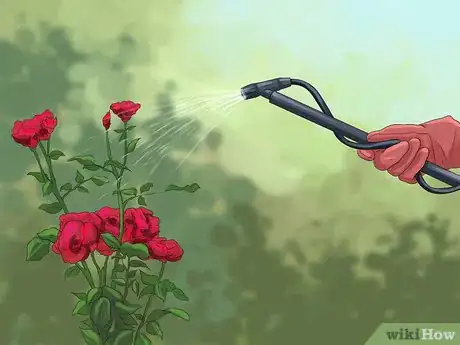 Image titled Grow Roses Organically Step 1