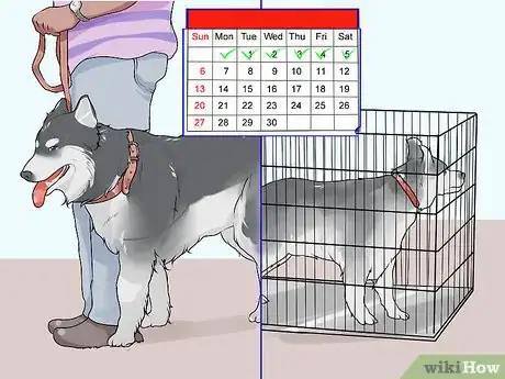 Image titled Set Consistent Limits for a New Dog Step 9