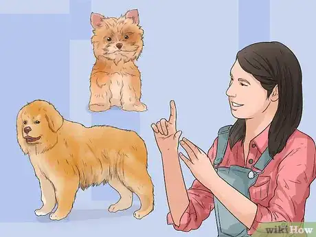 Image titled Understand Small Dog Syndrome Step 5