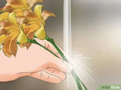 Image titled Harvest Daylilies Step 12