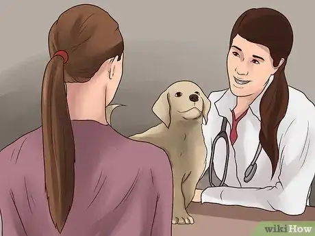 Image titled Treat Canine Kidney Disease Step 9