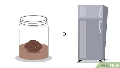 Image titled Grow Apricots Step 2
